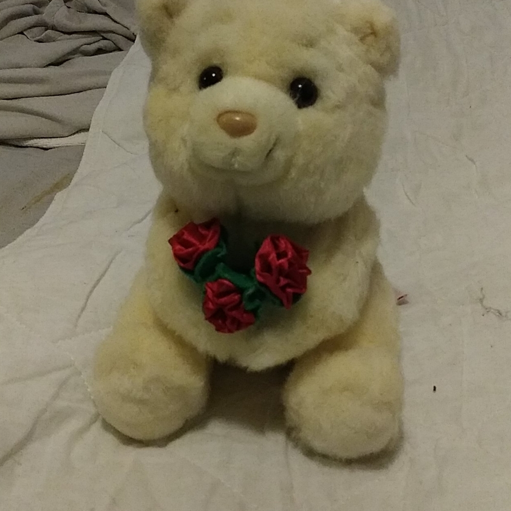 Teddy bear